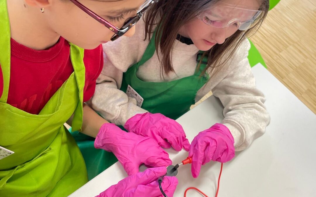 3c- MINT Workshop* für Mädchen – Technik und Naturwissenschaft hautnah erleben